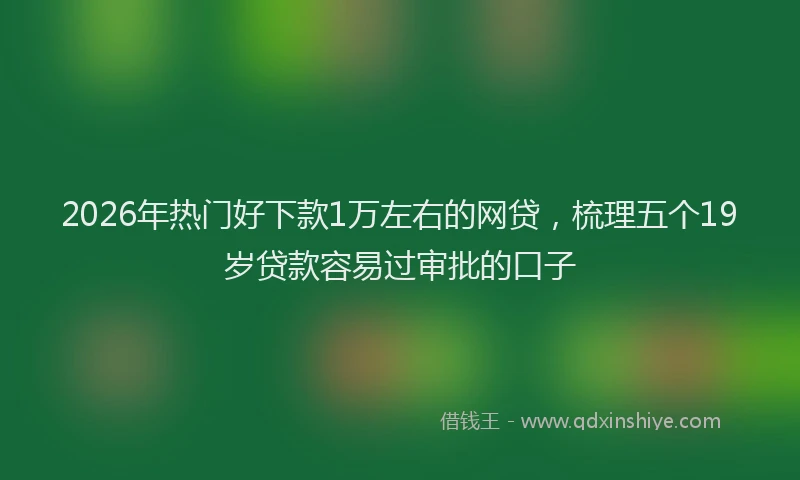 2026年热门好下款1万左右的网贷，梳理五个19岁贷款容易过审批的口子