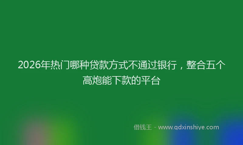 2026年热门哪种贷款方式不通过银行，整合五个高炮能下款的平台