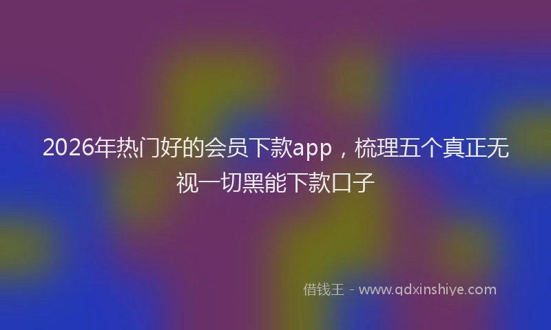 2026年热门好的会员下款app，梳理五个真正无视一切黑能下款口子