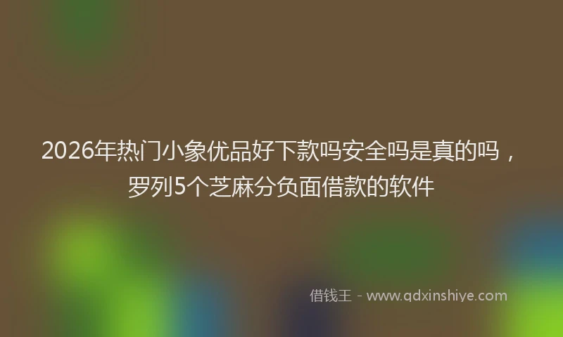 2026年热门小象优品好下款吗安全吗是真的吗,罗列5个芝麻分负面借款的软件