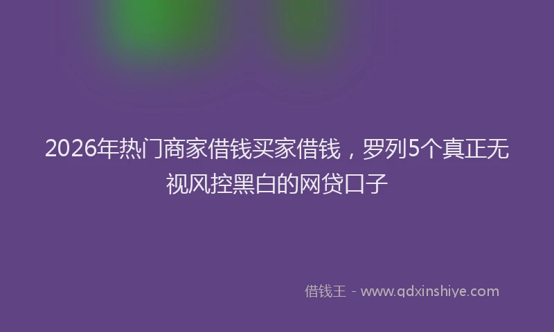 2026年热门商家借钱买家借钱，罗列5个真正无视风控黑白的网贷口子