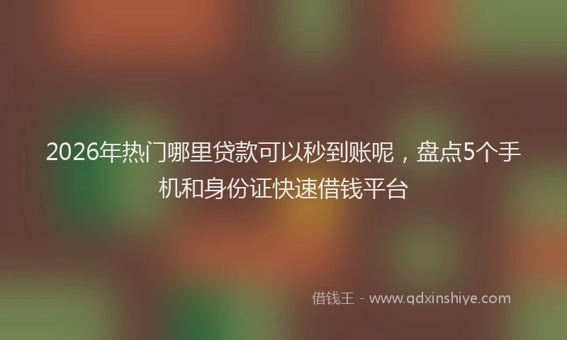 2026年热门哪里贷款可以秒到账呢，盘点5个手机和身份证快速借钱平台