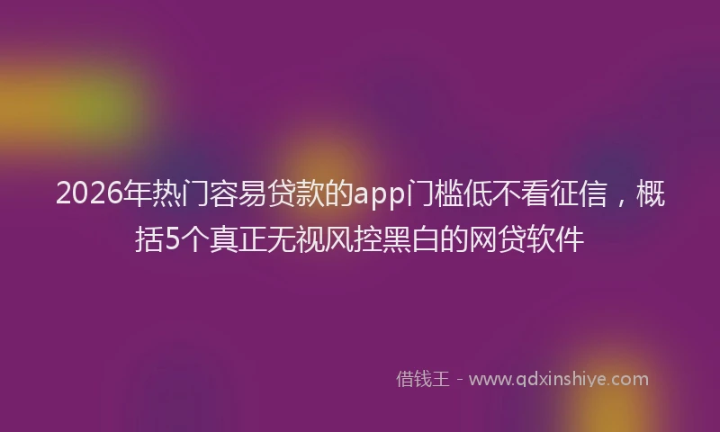 2026年热门容易贷款的app门槛低不看征信，概括5个真正无视风控黑白的网贷软件