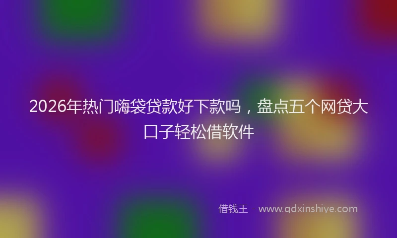 2026年热门嗨袋贷款好下款吗，盘点五个网贷大口子轻松借软件