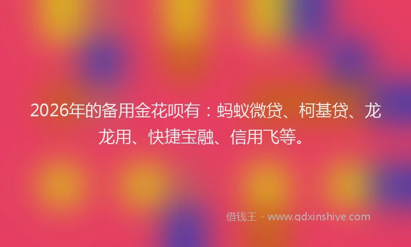 2026年的备用金花呗有：蚂蚁微贷、柯基贷、龙龙用、快捷宝融、信用飞等。