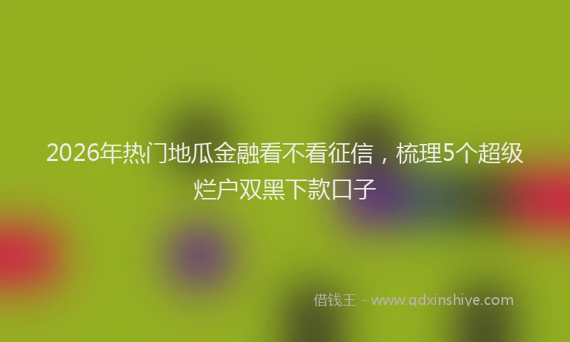 2026年热门地瓜金融看不看征信，梳理5个超级烂户双黑下款口子
