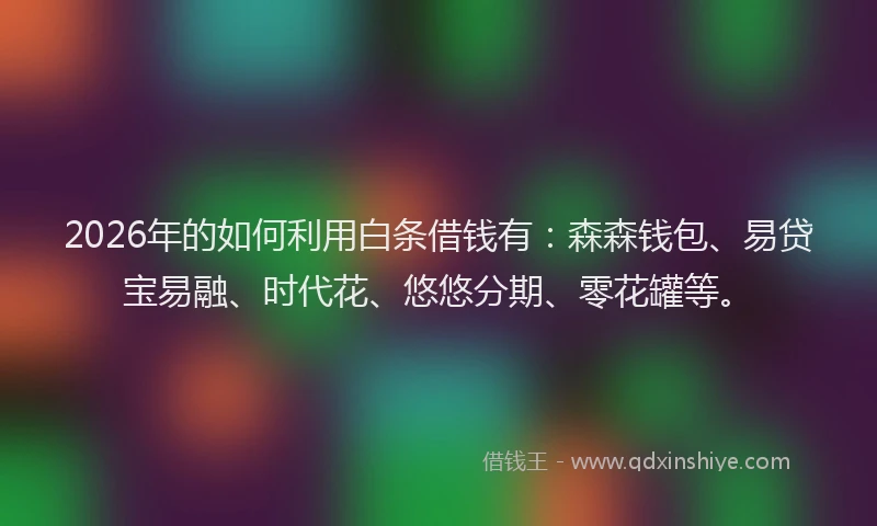 2026年的如何利用白条借钱有：森森钱包、易贷宝易融、时代花、悠悠分期、零花罐等。