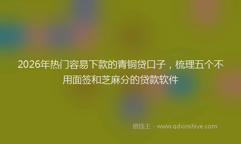 2026年热门容易下款的青铜贷口子，梳理五个不用面签和芝麻分的贷款软件