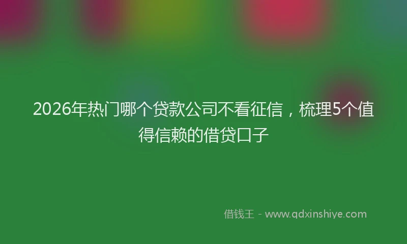2026年热门哪个贷款公司不看征信，梳理5个值得信赖的借贷口子