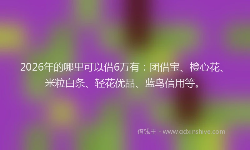 2026年的哪里可以借6万有：团借宝、橙心花、米粒白条、轻花优品、蓝鸟信用等。