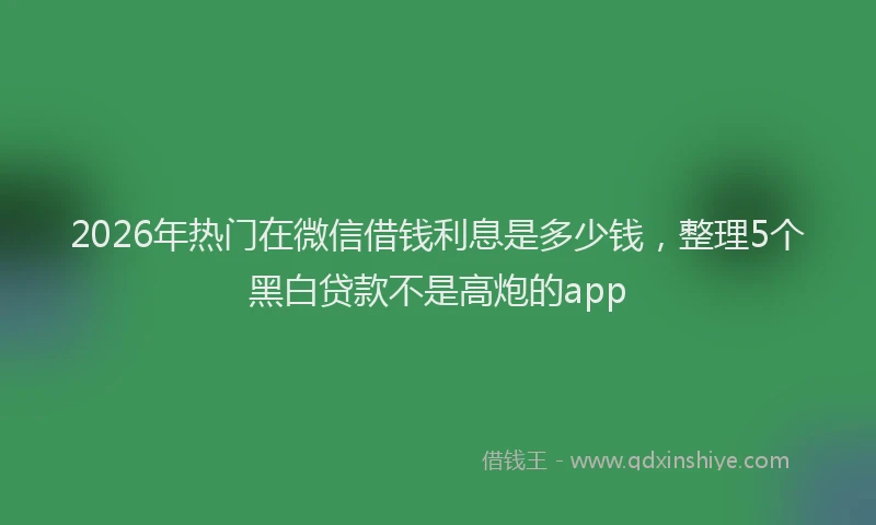 2026年热门在微信借钱利息是多少钱，整理5个黑白贷款不是高炮的app