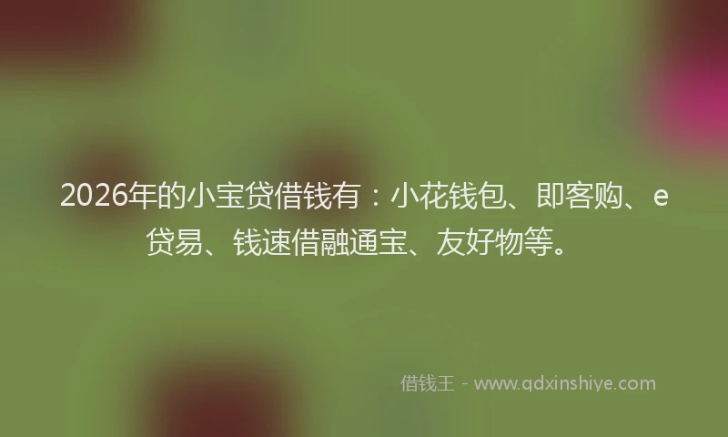 2026年的小宝贷借钱有：小花钱包、即客购、e贷易、钱速借融通宝、友好物等。