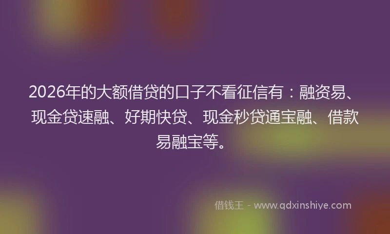 2026年的大额借贷的口子不看征信有：融资易、现金贷速融、好期快贷、现金秒贷通宝融、借款易融宝等。