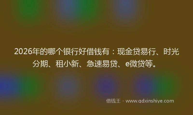 2026年的哪个银行好借钱有：现金贷易行、时光分期、租小新、急速易贷、e微贷等。
