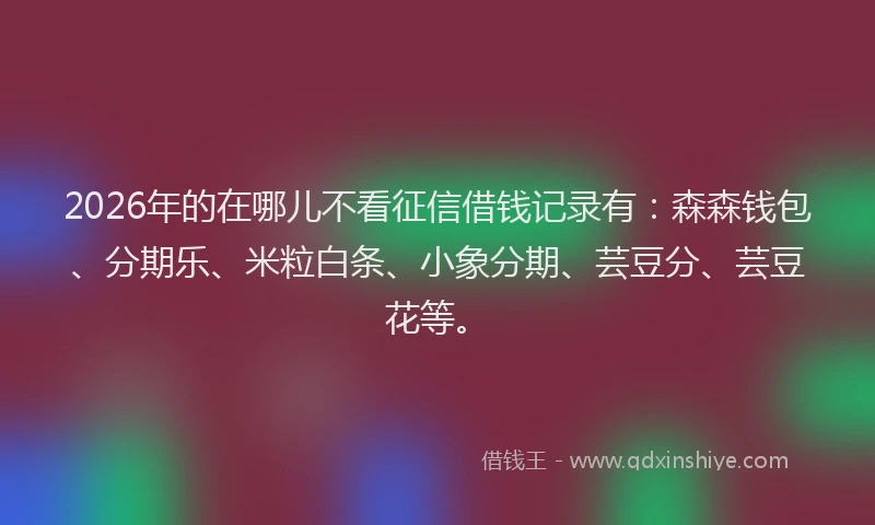 2026年的在哪儿不看征信借钱记录有：森森钱包、分期乐、米粒白条、小象分期、芸豆分、芸豆花等。
