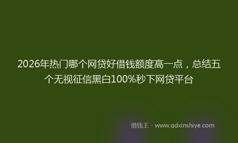 2026年热门哪个网贷好借钱额度高一点，总结五个无视征信黑白100%秒下网贷平台