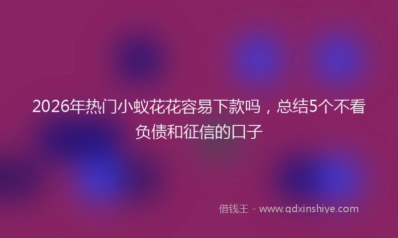 2026年热门小蚁花花容易下款吗，总结5个不看负债和征信的口子