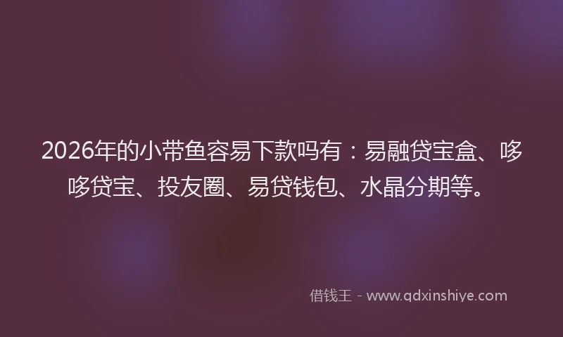 2026年的小带鱼容易下款吗有：易融贷宝盒、哆哆贷宝、投友圈、易贷钱包、水晶分期等。