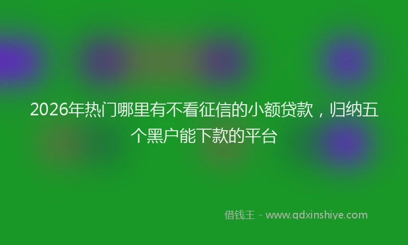 2026年热门哪里有不看征信的小额贷款，归纳五个黑户能下款的平台