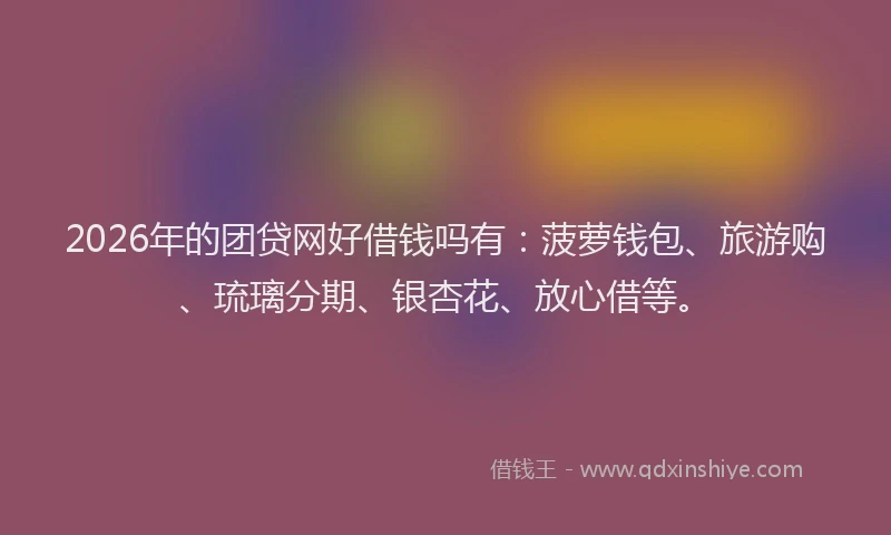 2026年的团贷网好借钱吗有：菠萝钱包、旅游购、琉璃分期、银杏花、放心借等。