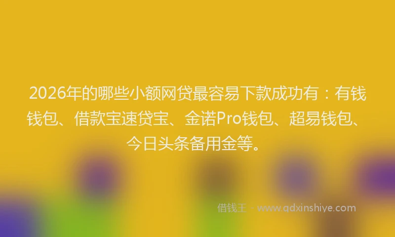 2026年的哪些小额网贷最容易下款成功有：有钱钱包、借款宝速贷宝、金诺Pro钱包、超易钱包、今日头条备用金等。