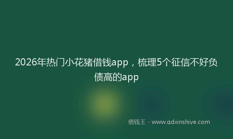 2026年热门小花猪借钱app,梳理5个征信不好负债高的app