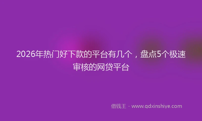 2026年热门好下款的平台有几个，盘点5个极速审核的网贷平台