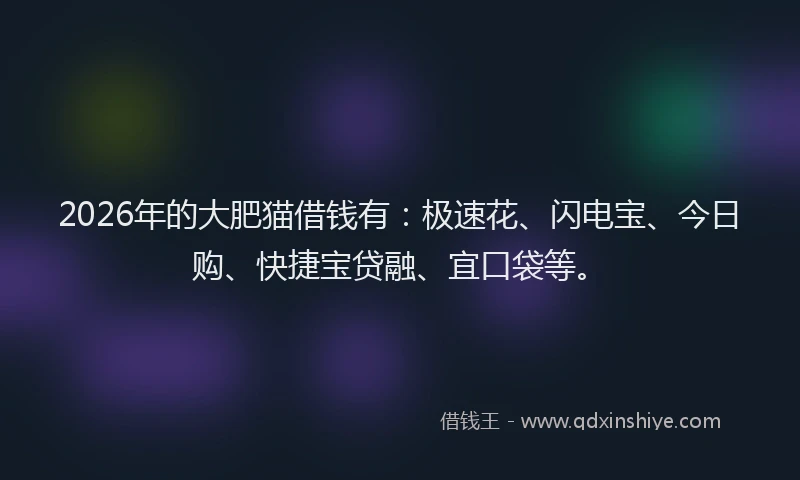 2026年的大肥猫借钱有：极速花、闪电宝、今日购、快捷宝贷融、宜口袋等。