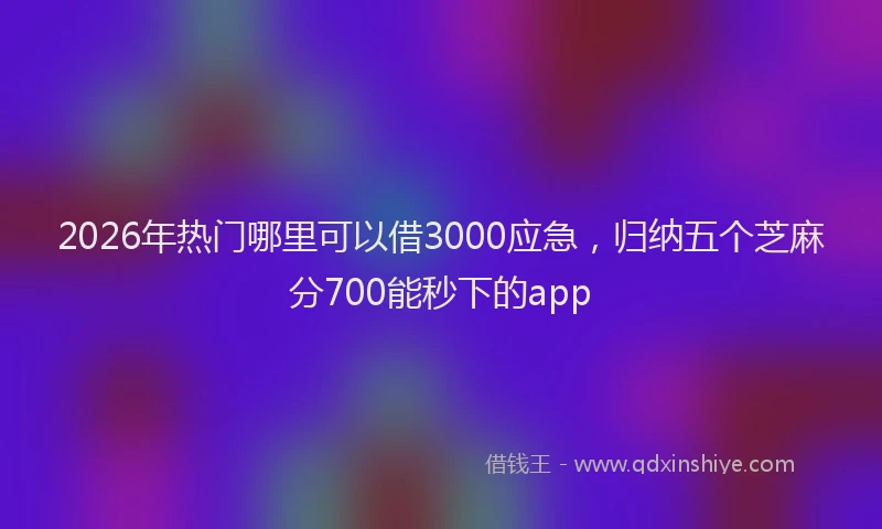 2026年热门哪里可以借3000应急，归纳五个芝麻分700能秒下的app