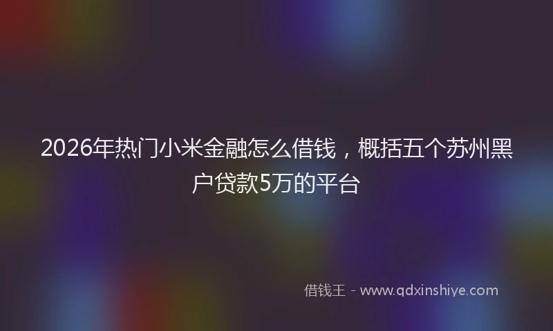 2026年热门小米金融怎么借钱，概括五个苏州黑户贷款5万的平台