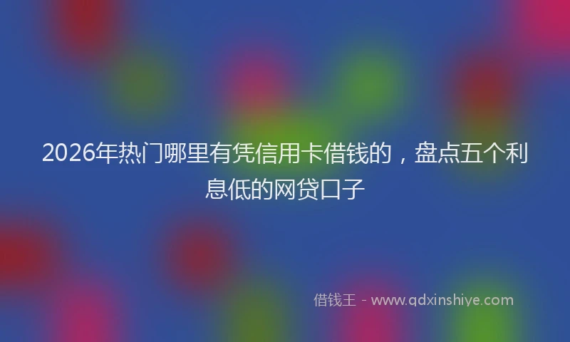 2026年热门哪里有凭信用卡借钱的，盘点五个利息低的网贷口子