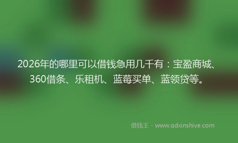 2026年的哪里可以借钱急用几千有：宝盈商城、360借条、乐租机、蓝莓买单、蓝领贷等。