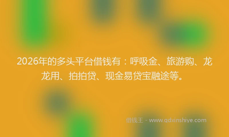 2026年的多头平台借钱有：呼吸金、旅游购、龙龙用、拍拍贷、现金易贷宝融途等。