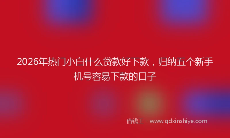 2026年热门小白什么贷款好下款，归纳五个新手机号容易下款的口子