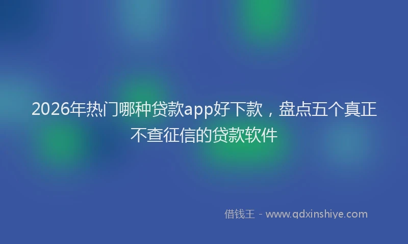 2026年热门哪种贷款app好下款，盘点五个真正不查征信的贷款软件