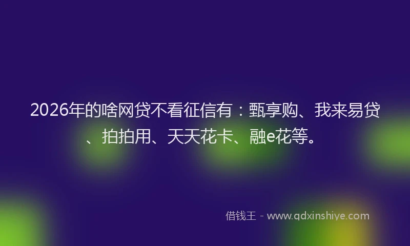 2026年的啥网贷不看征信有：甄享购、我来易贷、拍拍用、天天花卡、融e花等。