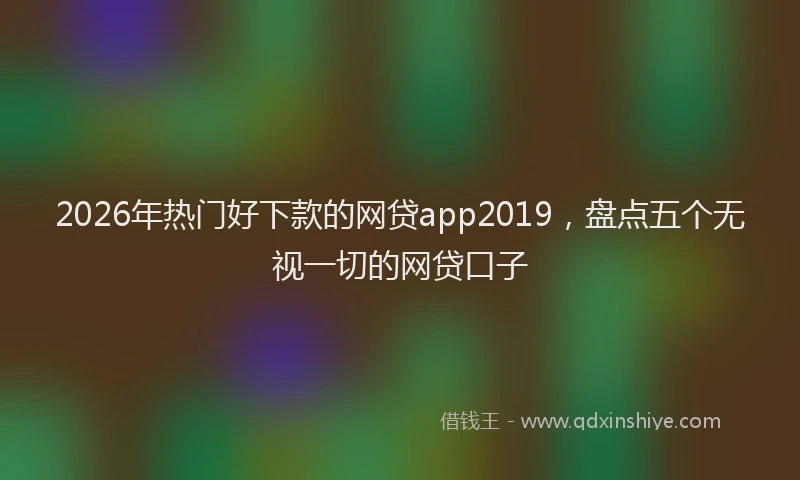 2026年热门好下款的网贷app2019，盘点五个无视一切的网贷口子