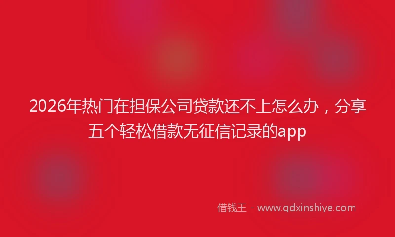 2026年热门在担保公司贷款还不上怎么办，分享五个轻松借款无征信记录的app
