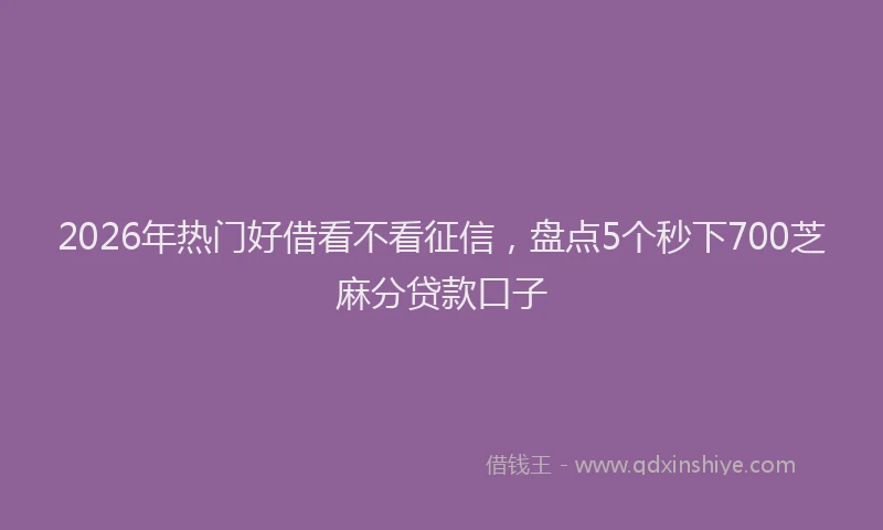 2026年热门好借看不看征信，盘点5个秒下700芝麻分贷款口子
