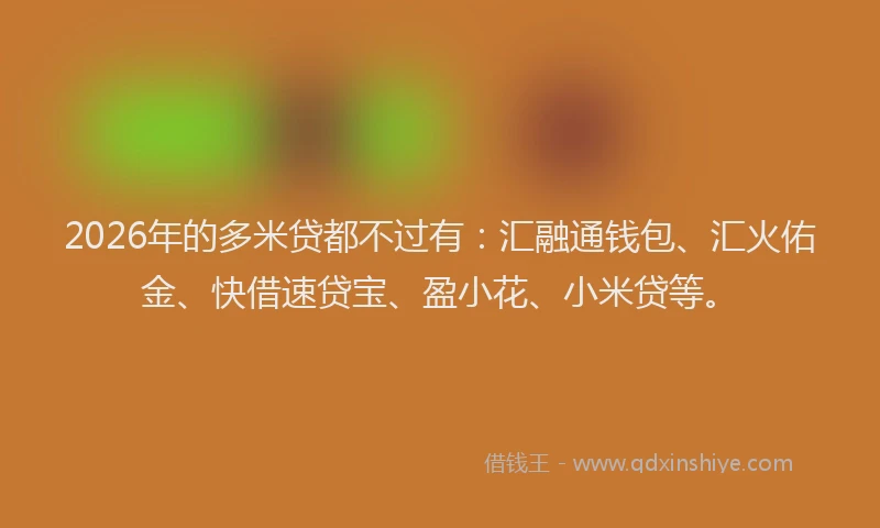 2026年的多米贷都不过有：汇融通钱包、汇火佑金、快借速贷宝、盈小花、小米贷等。