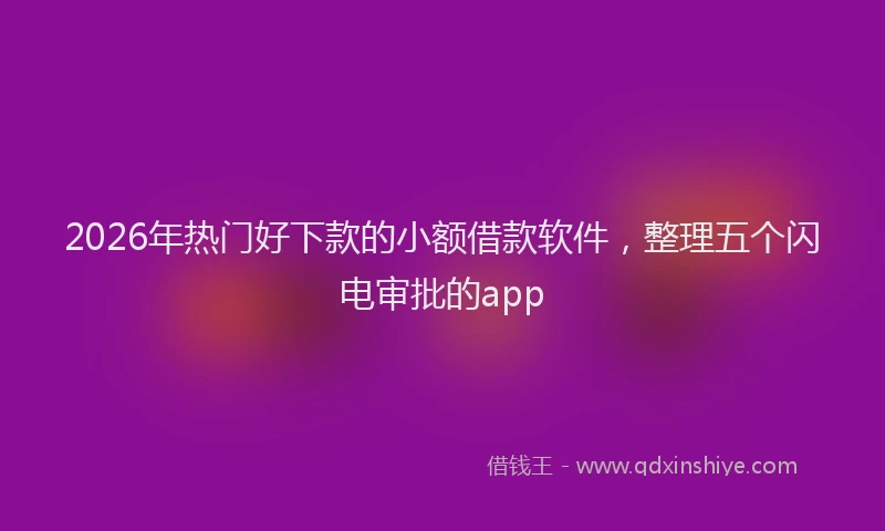 2026年热门好下款的小额借款软件，整理五个闪电审批的app
