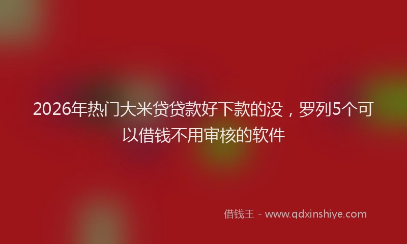 2026年热门大米贷贷款好下款的没，罗列5个可以借钱不用审核的软件