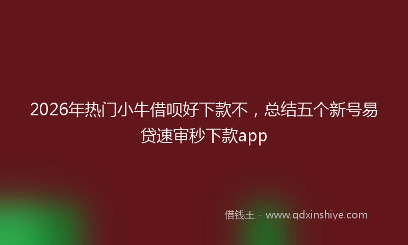 2026年热门小牛借呗好下款不，总结五个新号易贷速审秒下款app