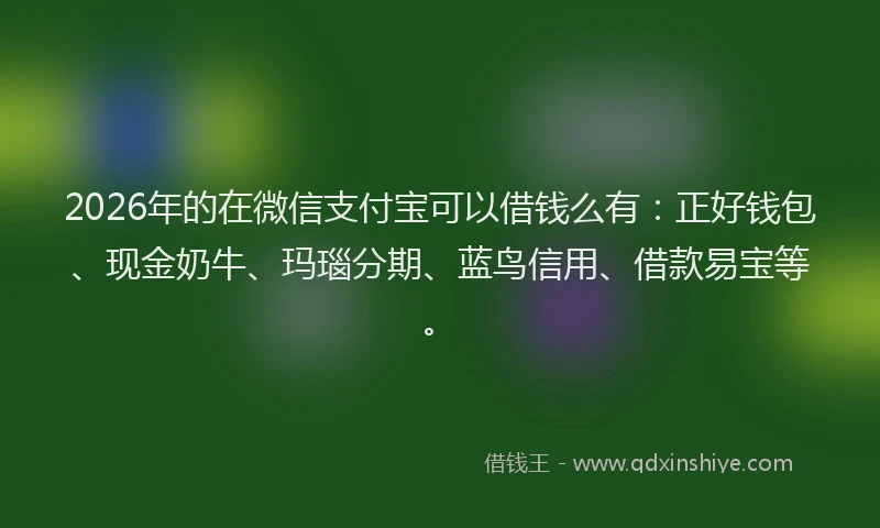 2026年的在微信支付宝可以借钱么有：正好钱包、现金奶牛、玛瑙分期、蓝鸟信用、借款易宝等。