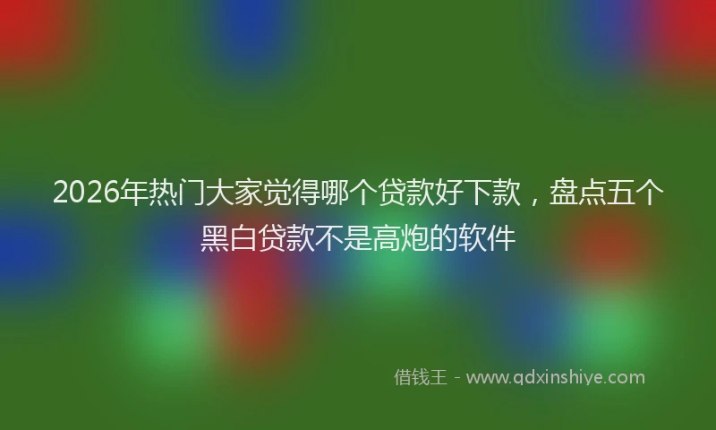 2026年热门大家觉得哪个贷款好下款，盘点五个黑白贷款不是高炮的软件