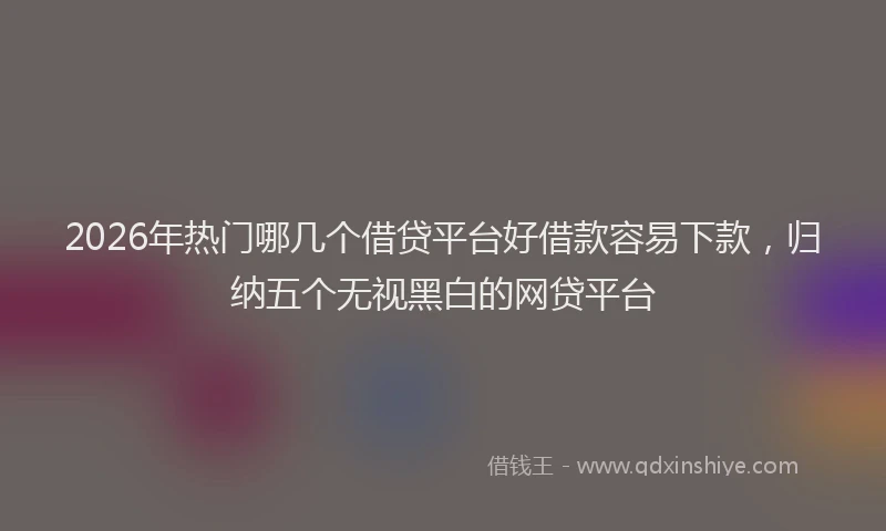 2026年热门哪几个借贷平台好借款容易下款，归纳五个无视黑白的网贷平台