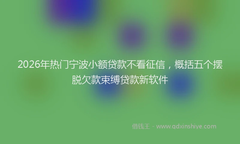 2026年热门宁波小额贷款不看征信，概括五个摆脱欠款束缚贷款新软件