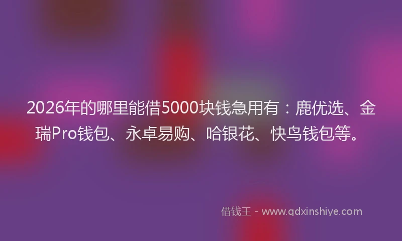 2026年的哪里能借5000块钱急用有：鹿优选、金瑞Pro钱包、永卓易购、哈银花、快鸟钱包等。