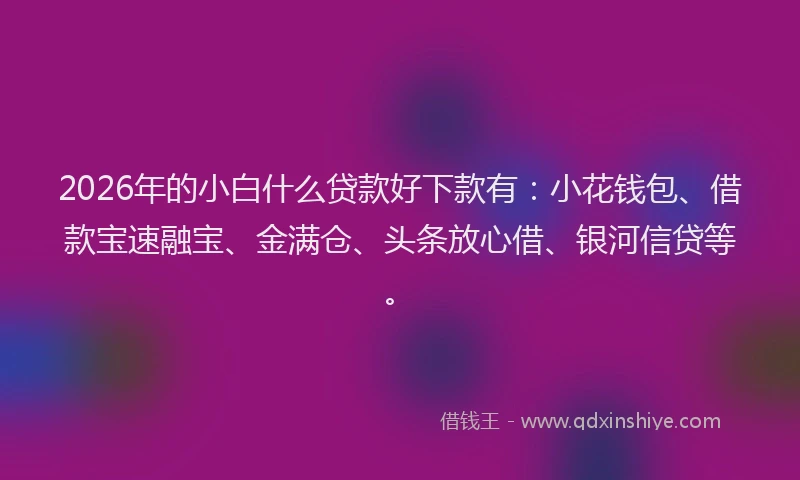 2026年的小白什么贷款好下款有：小花钱包、借款宝速融宝、金满仓、头条放心借、银河信贷等。