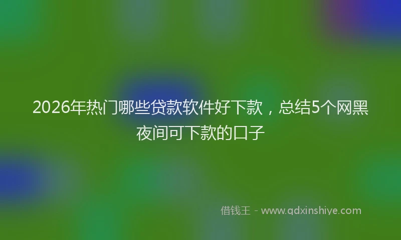 2026年热门哪些贷款软件好下款，总结5个网黑夜间可下款的口子